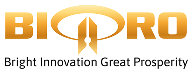logo-BigPro